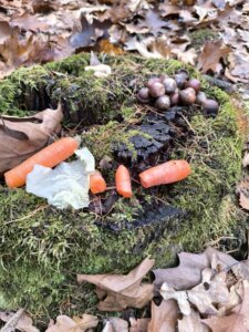 470854156_1005908318010444_5918333753130838686_n