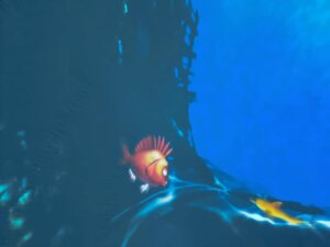 476347111_1038448424756433_1579224315273320496_n