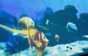 476623810_1038448468089762_4011514529247097654_n