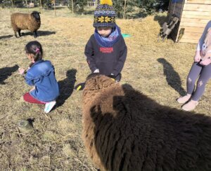 481077035_1057781676156441_3746557338855306800_n