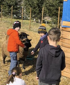 481079080_1057782556156353_3096706316510488251_n