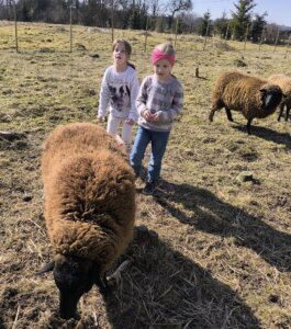 481080523_1057782602823015_3145999595865723335_n