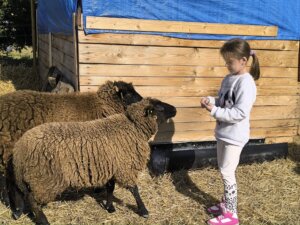 481080790_1057782876156321_4933053966035936782_n