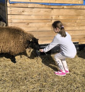 481080898_1057782652823010_6621264203686152607_n