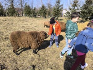 481081009_1057781552823120_3032265933926313752_n