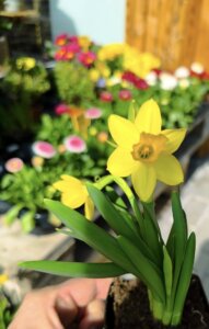 481082719_1057783259489616_1517983135558341369_n