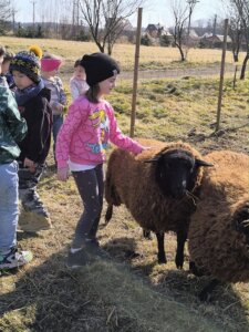 481083891_1057781292823146_5012503421029038250_n