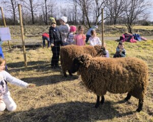 481279300_1057781426156466_5202055260911649774_n