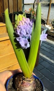 481789084_1057780672823208_4552610838646657316_n