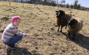 481963603_1057781779489764_6139689280681506747_n