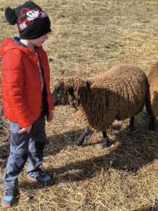 482051927_1057781382823137_8501154437597130047_n