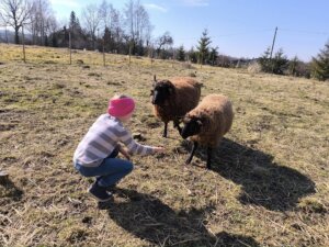 482088392_1057781842823091_3384042178721129119_n