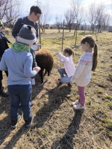 482092024_1057783082822967_2676407727543440890_n