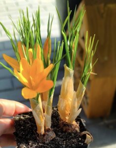 482122699_1057783152822960_2716696072005570099_n