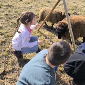 482139038_1057781969489745_8005913747596826540_n