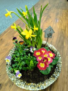 486072202_1068902938377648_2569070783034985174_n