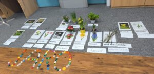 486072831_1068902901710985_7370758751083281382_n