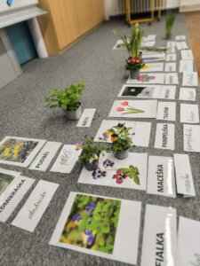 486127029_1068898315044777_5143839381988411796_n