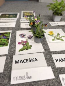 486158037_1068902755044333_366976200197831537_n