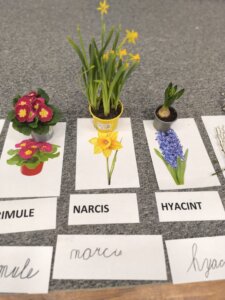 486181409_1068902738377668_2354618253278663938_n