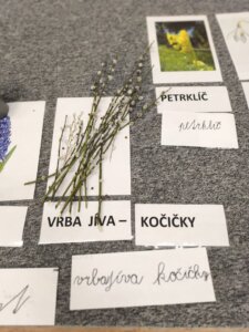 486231110_1068902788377663_5892029263801565109_n