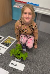 486331151_1068898671711408_4909950493194524591_n