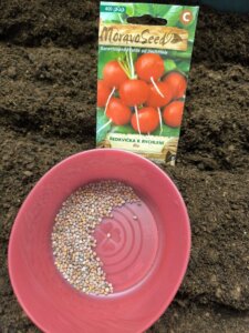 486447011_1068903675044241_3714052538942956137_n