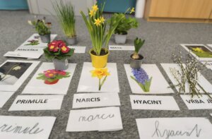 486543322_1068902831710992_1873635882559927275_n