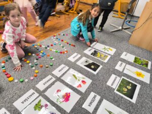 486557270_1068898878378054_129429404378942757_n