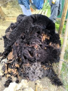 497514139_1107078711226737_7451075658301535338_n