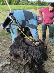 497537506_1107078391226769_8189209476306444906_n