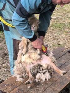 497588947_1107078457893429_3088459726835249102_n