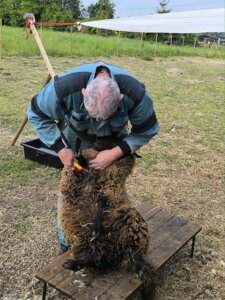 497612258_1107078334560108_34345694180783622_n