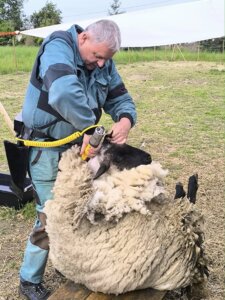 497628970_1107078154560126_1228359965406540616_n