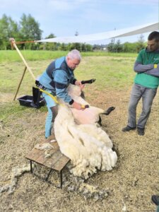 497640593_1107078067893468_169006799731768798_n