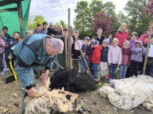 497730876_1107077907893484_4847716392700914606_n