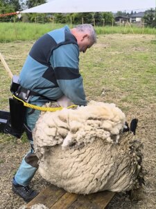 497926492_1107078107893464_6731056783085360921_n