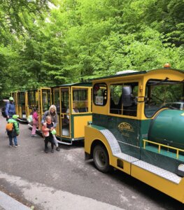 499553351_1111229350811673_8599694607532762736_n