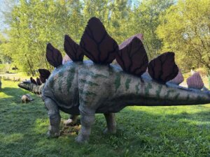 541640391_1191498276118113_5333091407231428757_n