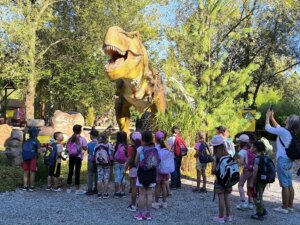 542136055_1191496629451611_4565122036253427640_n