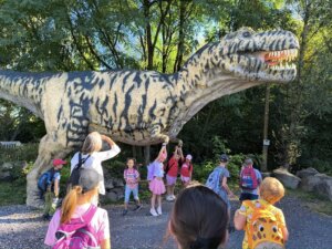 542761359_1191497486118192_8919188271003851128_n