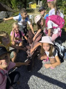 542762489_1191497166118224_8063096845650432448_n