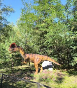 543013281_1191498232784784_180479873759458692_n