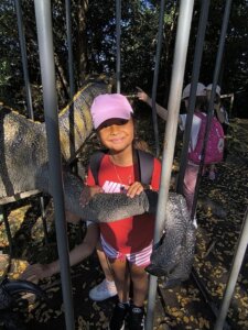 543030360_1191496926118248_7085672913905165911_n