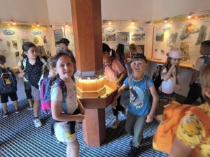 543084421_1191497569451517_552879530025673963_n