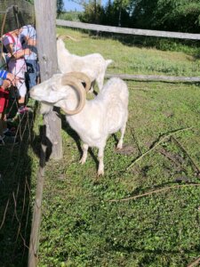 543098955_1191497656118175_3168938677233549708_n