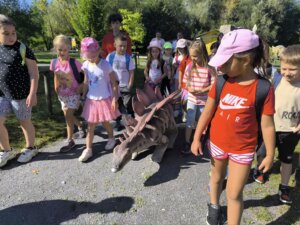 543113673_1191498132784794_5238178684633748509_n