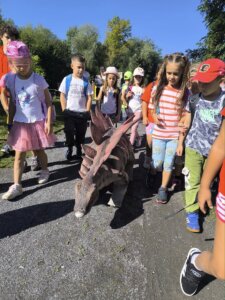 543119167_1191498092784798_6695598992709231614_n