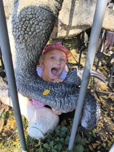 543124059_1191496809451593_8872608995188769897_n