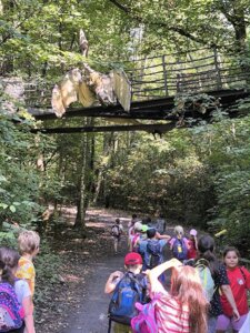 543388068_1191497302784877_6197026485408598842_n